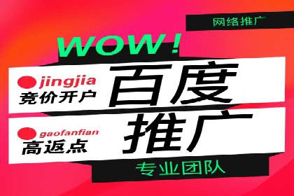 百度搜索推广实战案例：揭秘高效推广背后的秘密